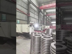 Grote mijnlier schijfrem schijfveerring voor Citicic lier