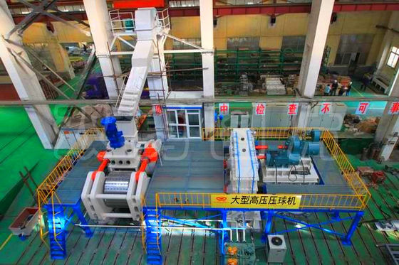 Koude/Hete de Metallurgiemachine van de Briketmachine 100TPH en de Machine van de Balpers